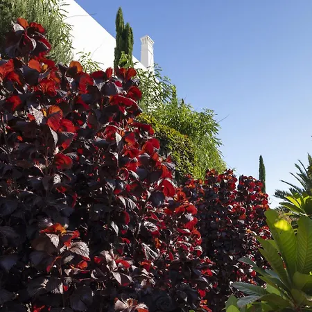 Casa La Brena La Palma Casa vacanze *